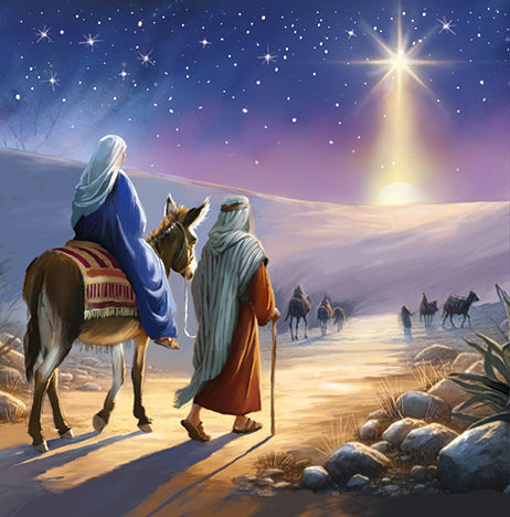 Nativity Scene x 12