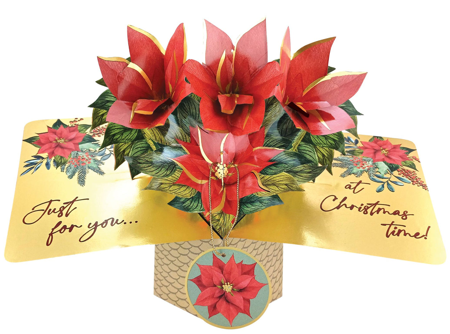 Poinsettia Pop Up