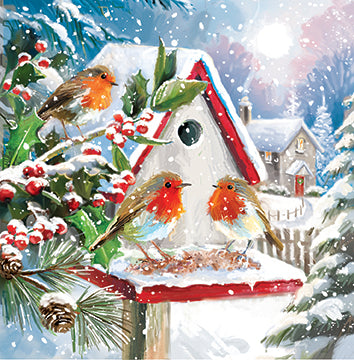 Garden Robins x 12