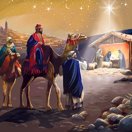 Nativity Scene x 12