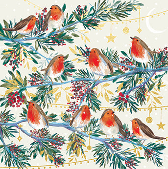 Christmas Robins x 10
