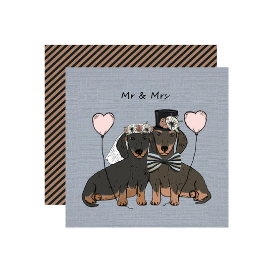 Mr & Mrs Dachshund