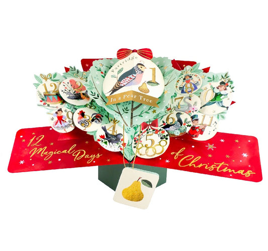 Twelve Days Of Christmas Pop Up