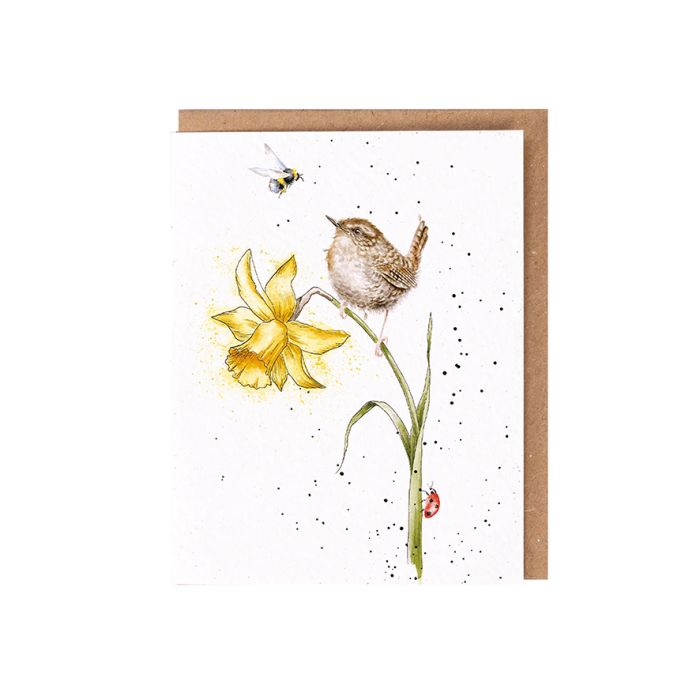 Seed Card - Birds & Bees