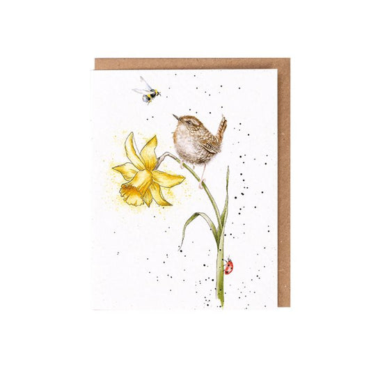 Seed Card - Birds & Bees