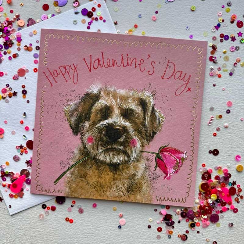 Valentine's Day Border Terrier