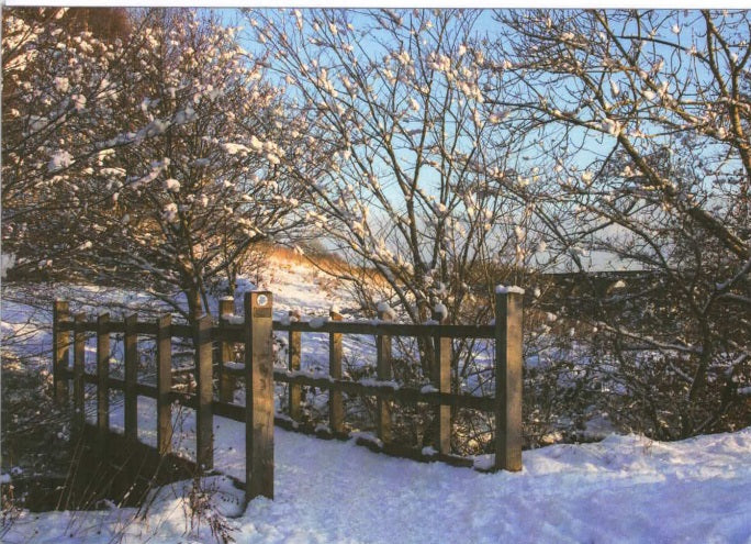 Bridge At Tong Park