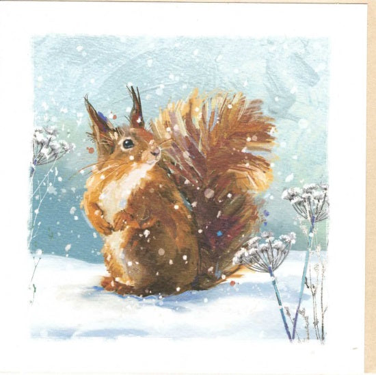 Squirrel In The Snow